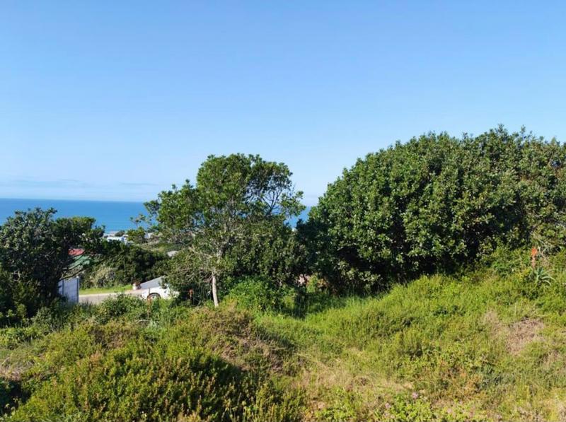 0 Bedroom Property for Sale in Tergniet Western Cape